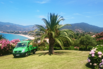 Entretien jardins et espaces verts