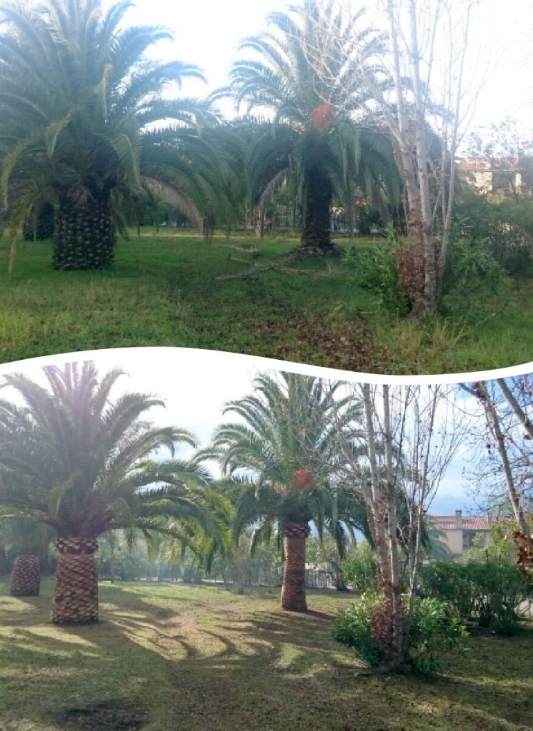 architecte paysagiste à Ajaccio