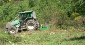 Démaquisage à Sagone